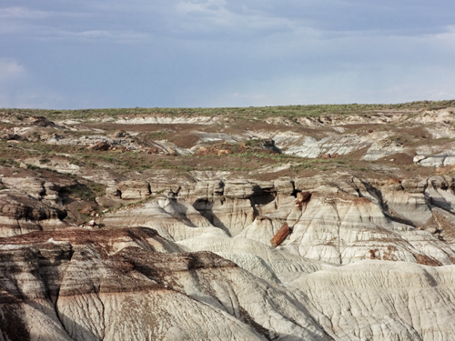 view from the Blue Mesa Overlook at the Petrified Forest